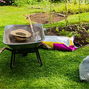 Gartenlandschaft mit verschiedenen Werkzeugen und Pflanzen