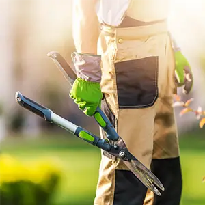 Häckenschere in der Hand eines Gärtners