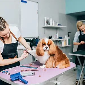 Jägerinnen beobachten Tiere durch ein Fernglas