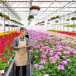 Gärtner im Gewächshaus mit bunten Blumen und einem Tablet