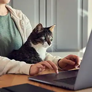 Katze sitzt auf dem Schoß einer Frau hinter einem Laptop