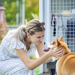 Junge Frau streichelt einen Hund