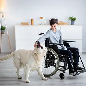 Junge im Rollstuhl neben seinem Hund