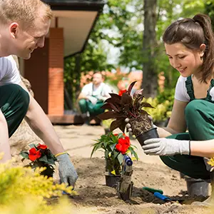Gärtner pflanzen Blumen im Garten