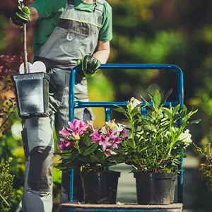 Gärtnerin mit unterschiedlichen Pflanzen auf dem Rollwagen