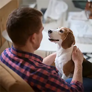 Hund auf dem Schoß eines Mannes