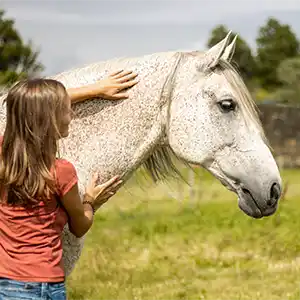 Therapeutin untersucht den Hals eines Pferdes